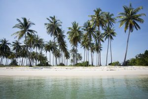 Koh Yao Noi & Koh Yao Yai one day trip
