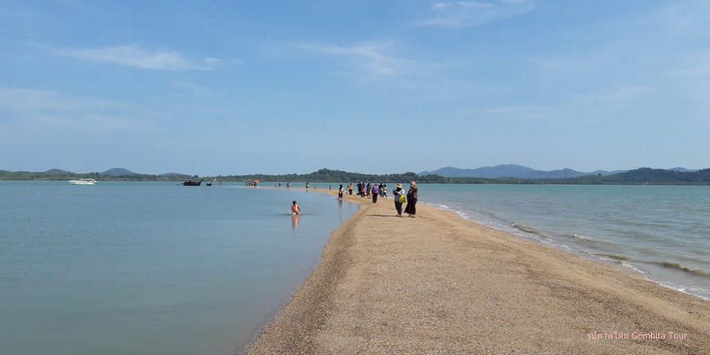 สันหลังมังกรเกาะยาว
